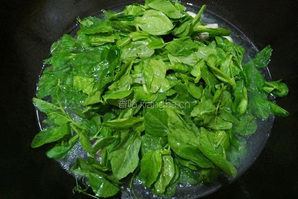 豆苗大蒜肉丸汤的做法图解8