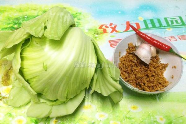 酒糟大菜的做法图解1