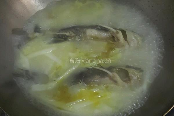 白菜鱼汤的做法图解4