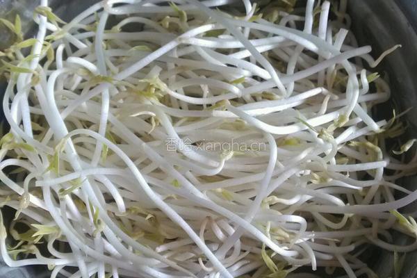 豆芽炒豆腐干的做法图解1