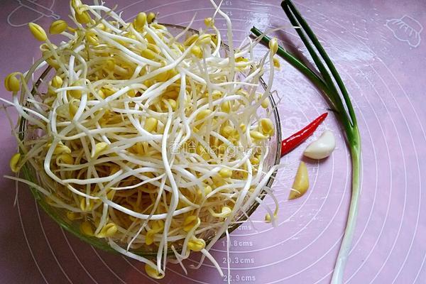 素炒黄豆芽的做法图解1