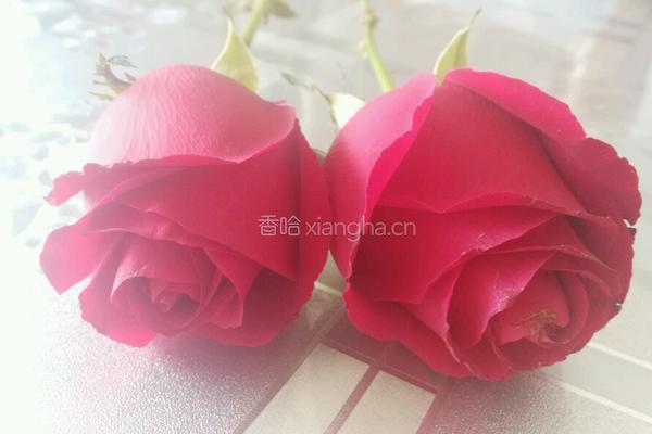 生日蛋糕的做法图解11