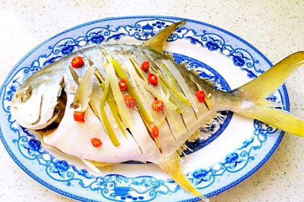 清蒸白鲳鱼的做法图解8