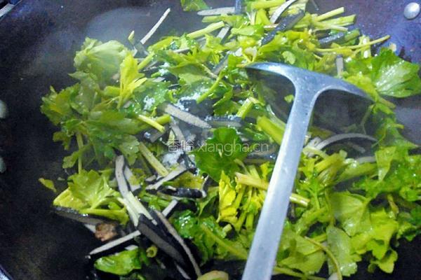 香芹炒臭干的做法图解9