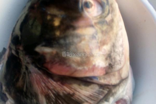 红烧鱼头的做法图解1