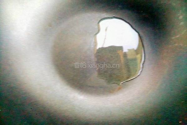 小蘑头的做法图解8