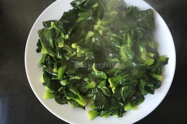 蚝油香菇青菜的做法图解4