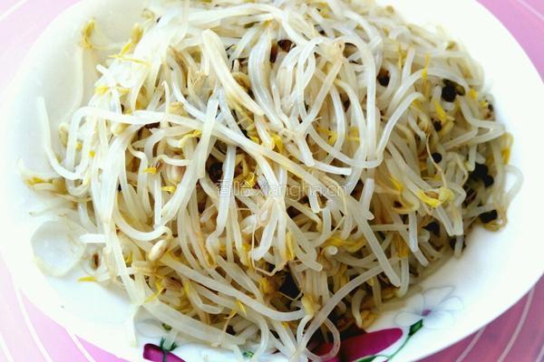 春饼的做法图解14