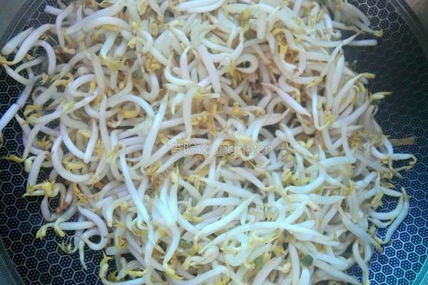 绿豆芽爆炒干豆腐的做法图解4