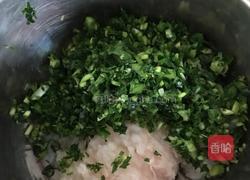 韭菜龙利鱼饺子的做法图解3