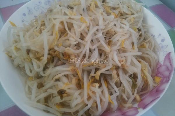炝炒绿豆芽的做法图解5