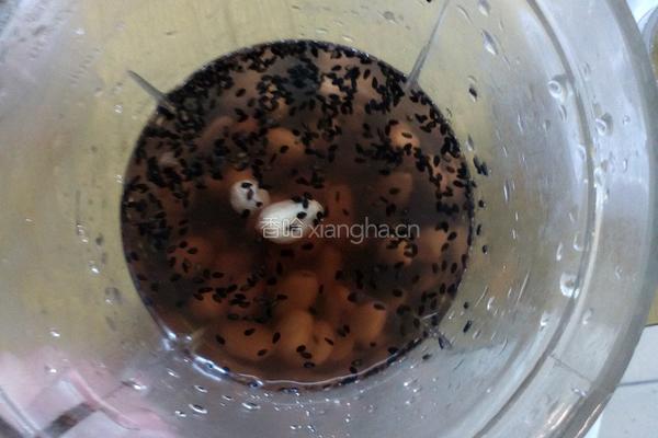 滋补豆浆的做法图解3