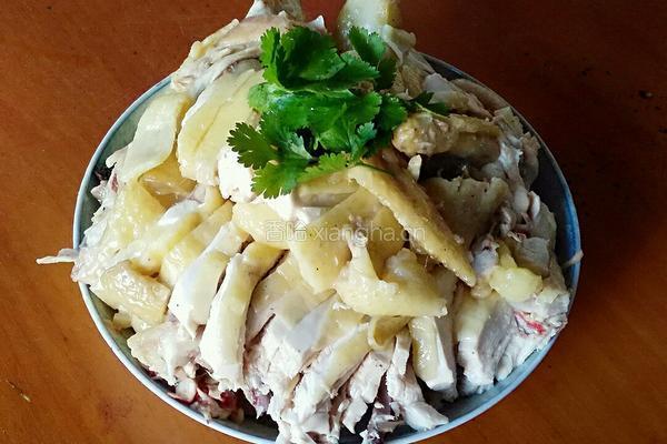 白切鸡的做法图解6