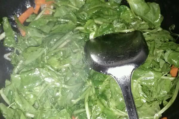 素炒荷兰豆叶的做法图解5