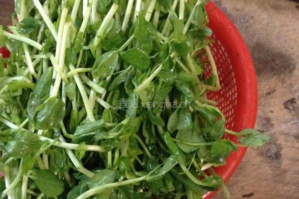 火丝豆苗的做法图解2