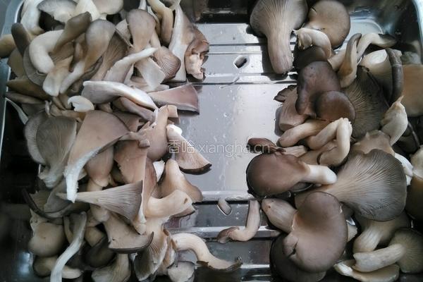 素炒蘑菇的做法图解1