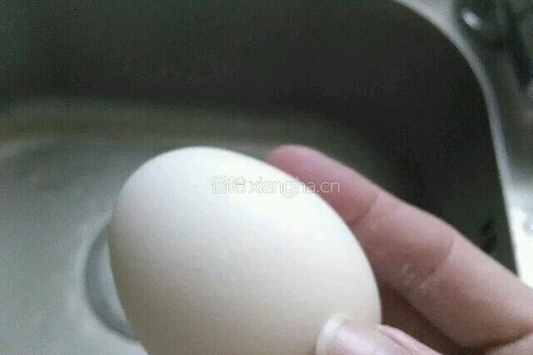 鲜奶面包的做法图解3
