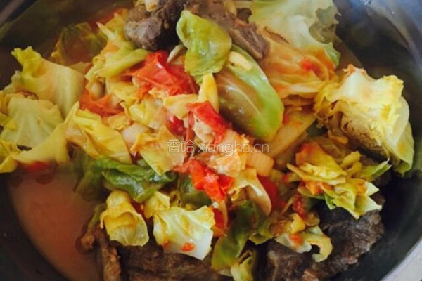 番茄包菜炖排骨的做法图解10