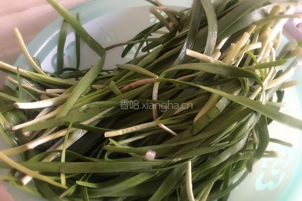 韭菜合子的做法图解3