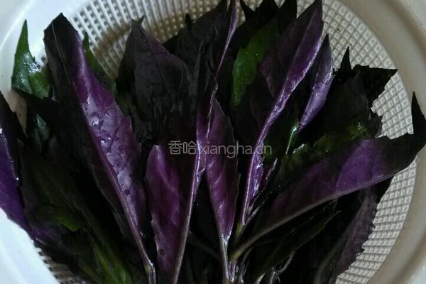 紫苏炒生粉肉的做法图解1