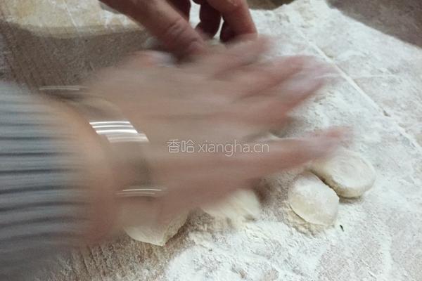 黑山猪茴香水饺的做法图解12
