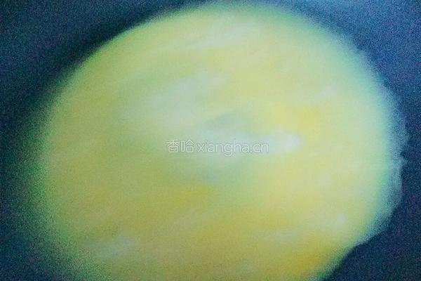 鸡丝卷的做法图解9
