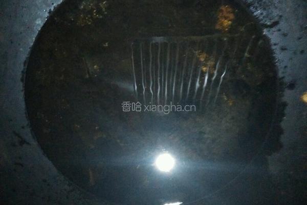 炸鱿鱼圈的做法图解5