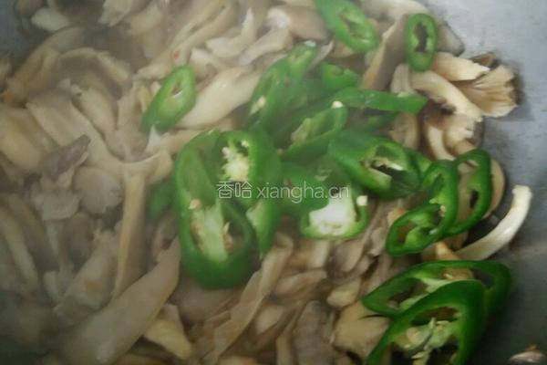 韭菜炒蘑菇的做法图解6