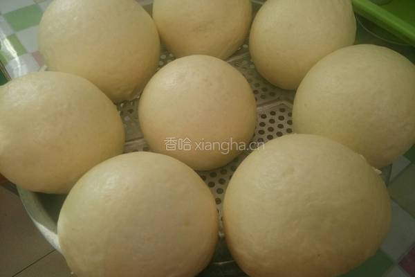 玉米面呛面馒头的做法图解8