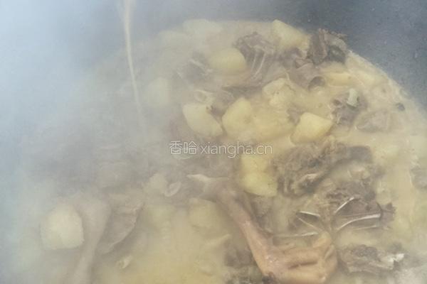 铁锅炖大鹅的做法图解6