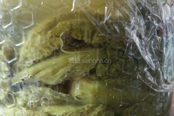 自制酸菜的做法图解5