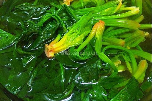 三色拌菜的做法图解2