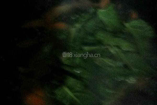 清汤凉粉的做法图解6