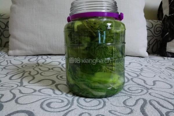 燎酸菜(贵州酸菜)