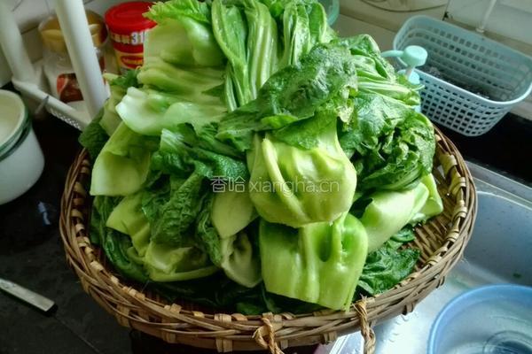 燎酸菜(贵州酸菜)的做法图解7