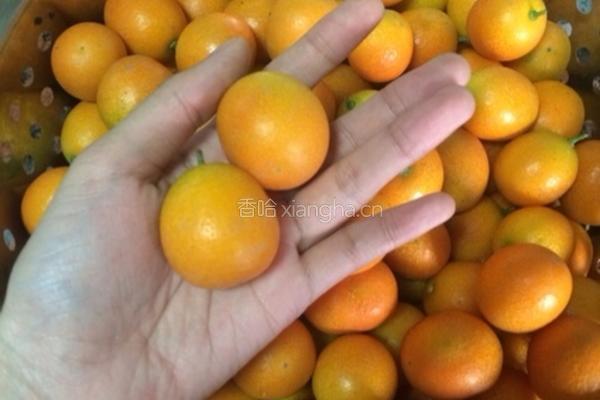 冰糖炖金桔的做法图解1
