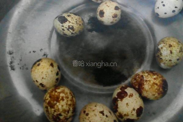 少辣版土豆粉的做法图解1
