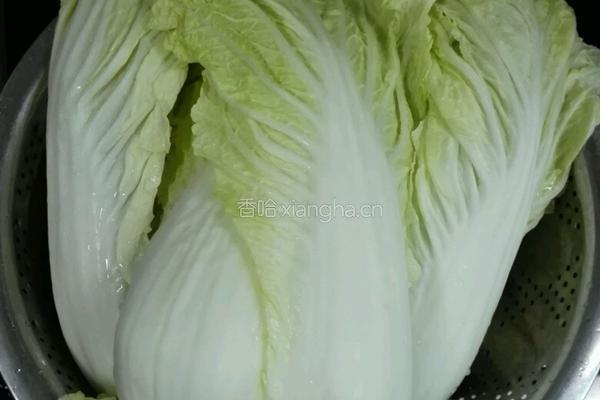 金钓白菜的做法图解1