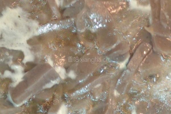 陕西凉拌魔芋的做法图解1