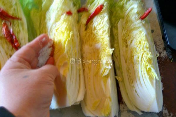 泡菜的做法图解3