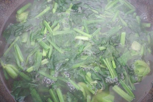 爽口菠菜粉丝的做法图解9