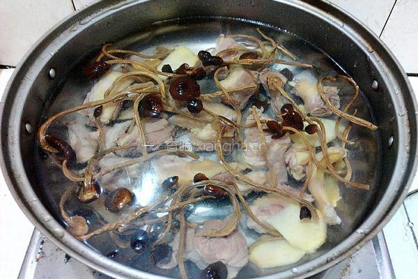 茶树菇老鸭汤的做法图解5