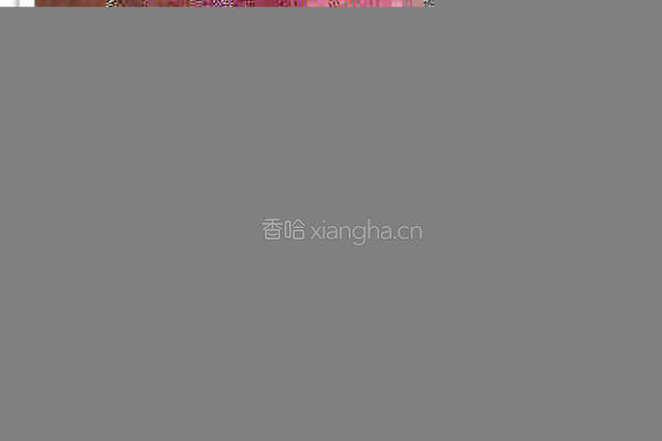 南瓜培根意面的做法图解6