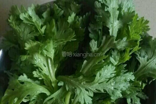 素炒皇帝菜的做法图解1