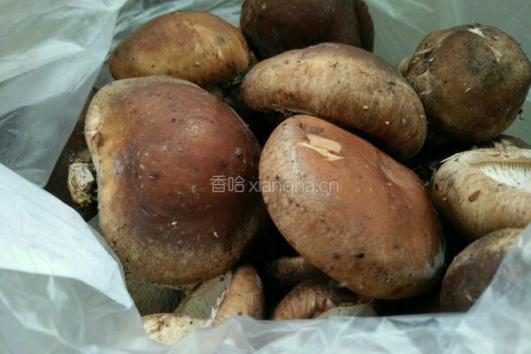 油麦菜烧香菇的做法图解2