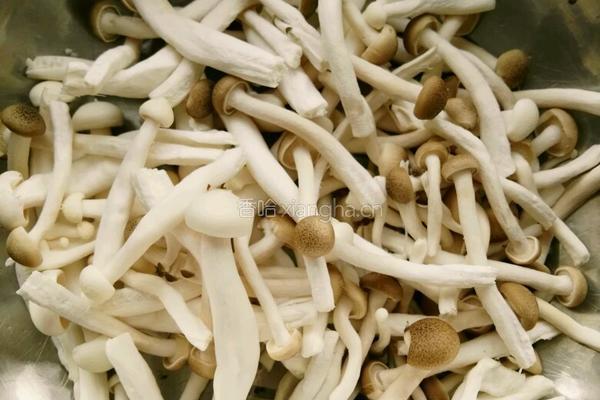 菇菇与小鲜肉的做法图解1