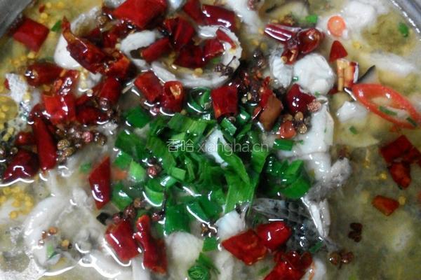 水煮麻辣黑鱼的做法图解4