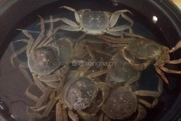 水煮河蟹的做法图解4