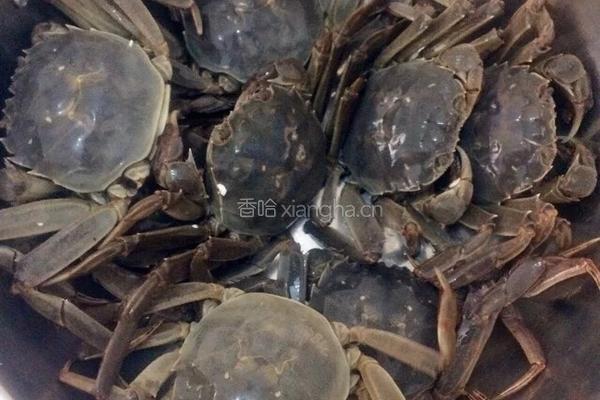 水煮河蟹的做法图解2