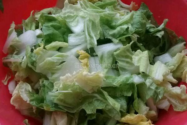 白菜豆腐的做法图解2